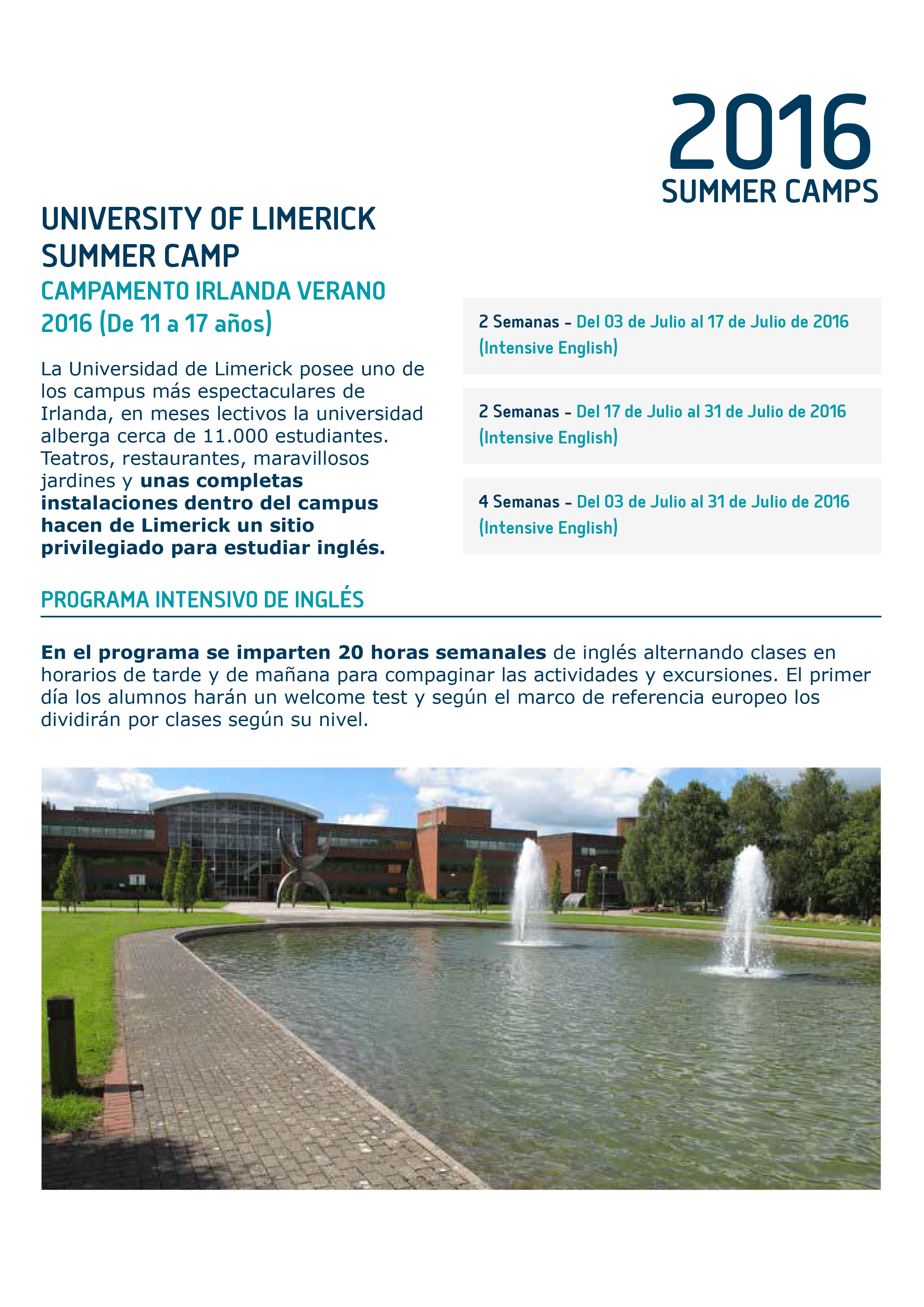 Programa-University-of-Limerick---Ireland-1
