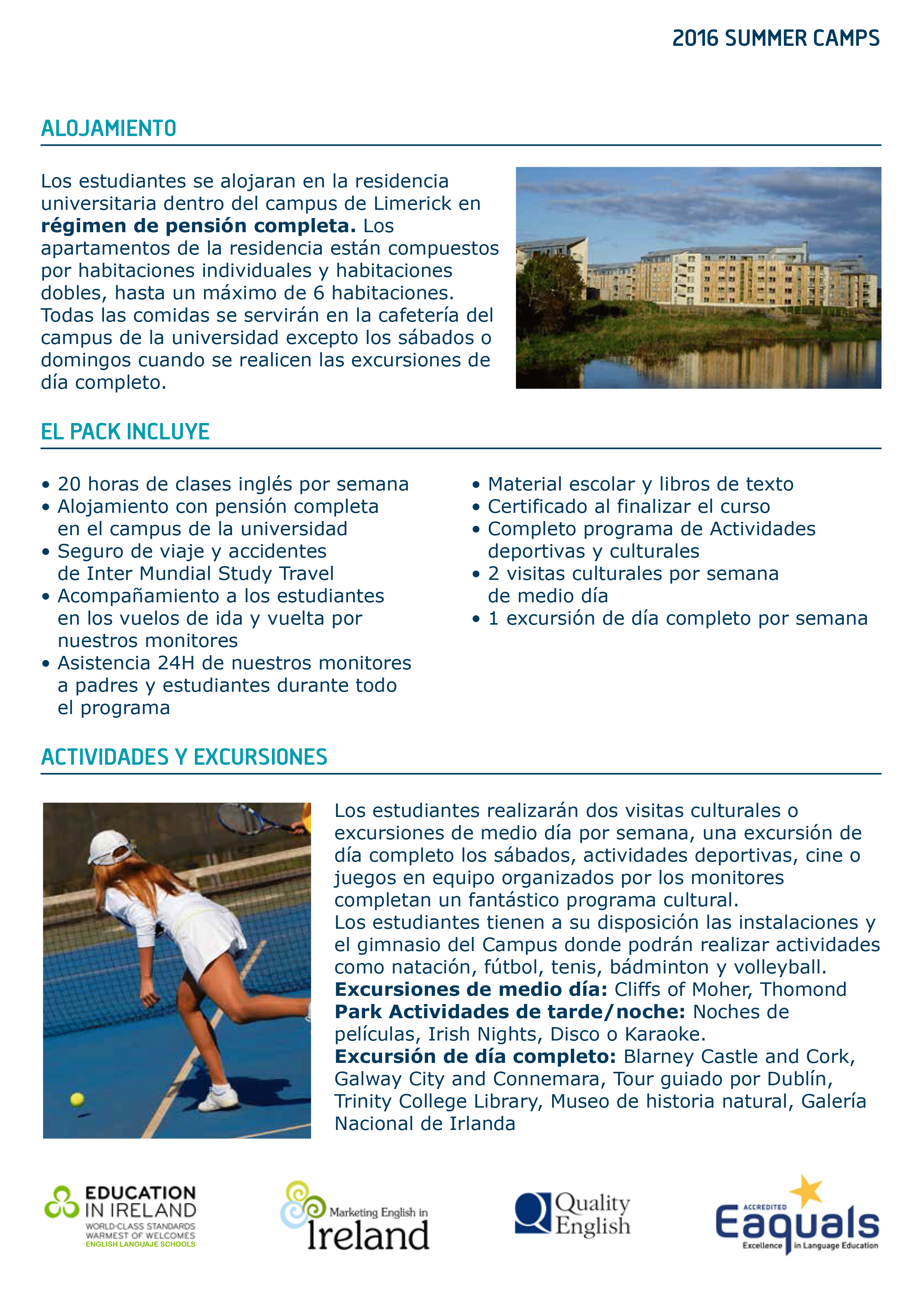 Programa-University-of-Limerick---Ireland-2